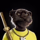 1325