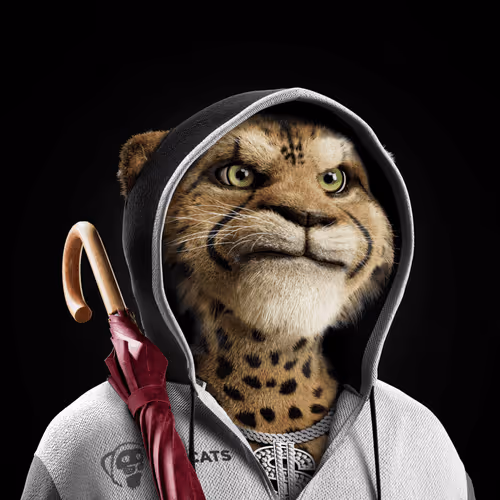 Big Cat #3302