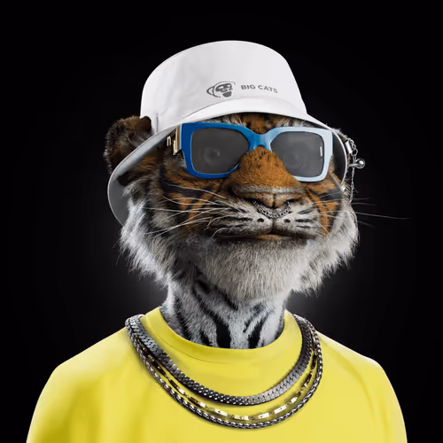 Big Cat #4669