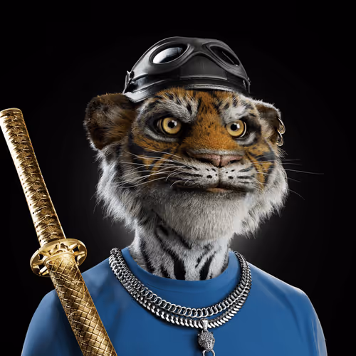 Big Cat #1869