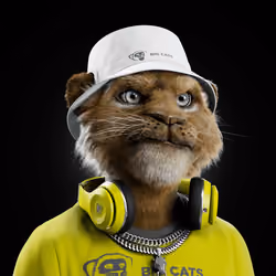 Big Cat #1384