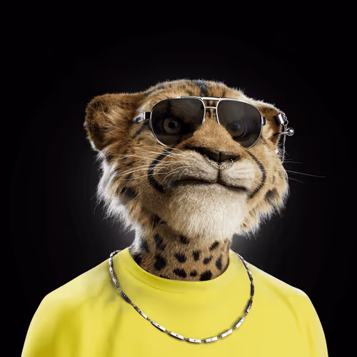 Big Cat #3116