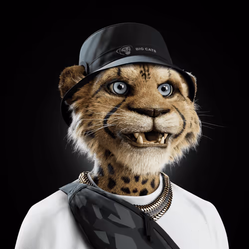 Big Cats Official Collection