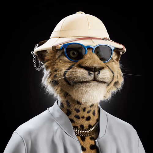 Big Cat #1503