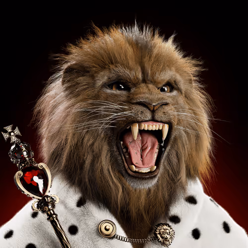 Big Cats Official Collection