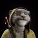 2253