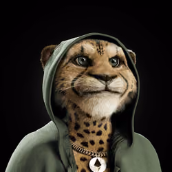 Big Cat #4775