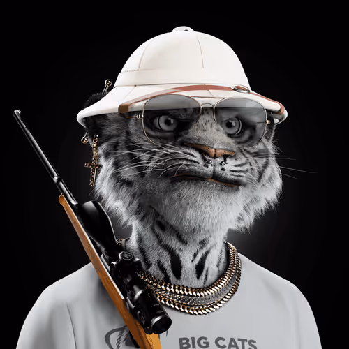 Big Cat #4019