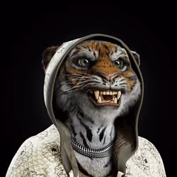 Big Cat #2084