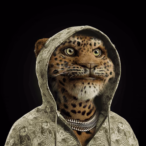 Big Cat #4676