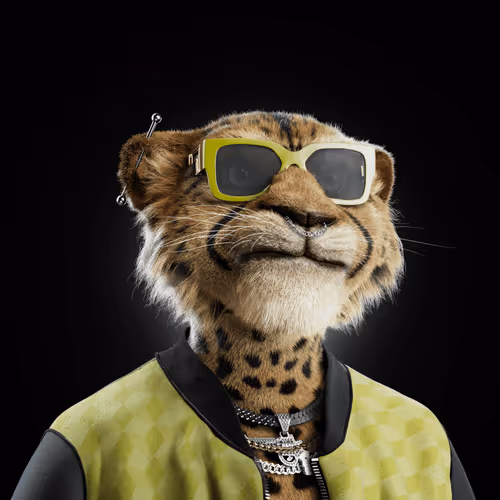 Big Cat #4478