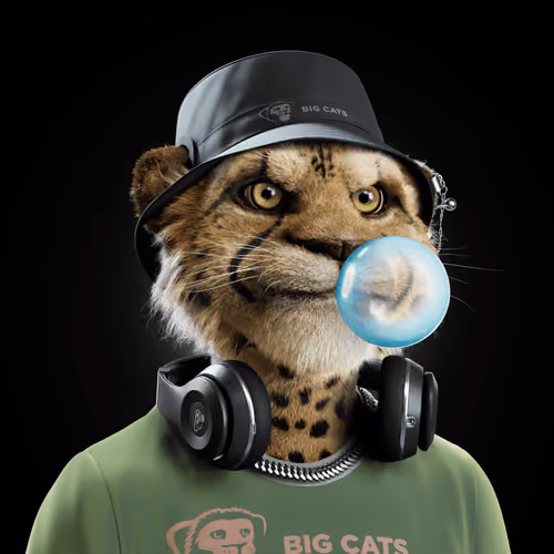 Big Cat #739