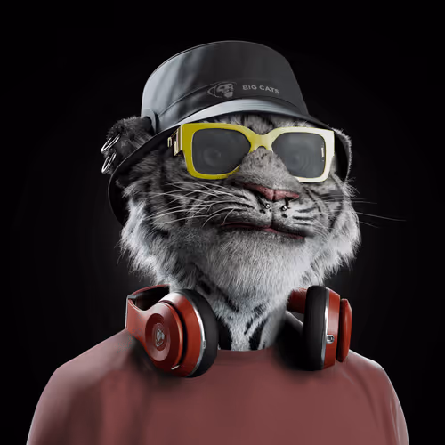 Big Cats Official Collection