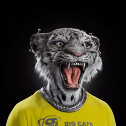 Big Cat #2577