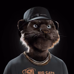 Big Cat #3014