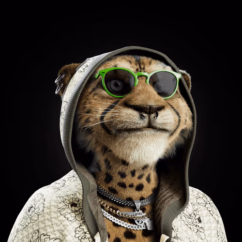 Big Cat #3662