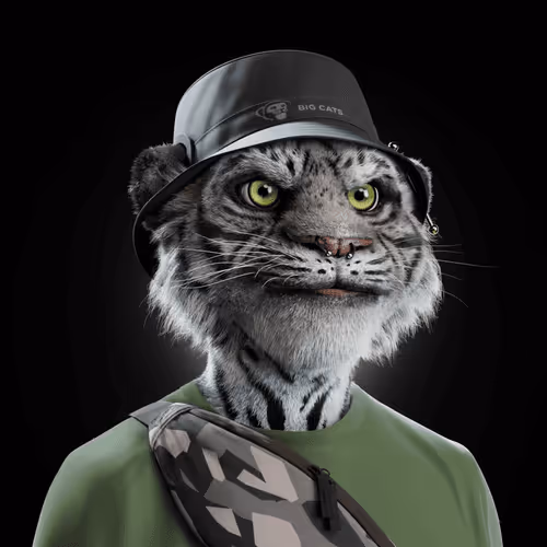 Big Cat #2852