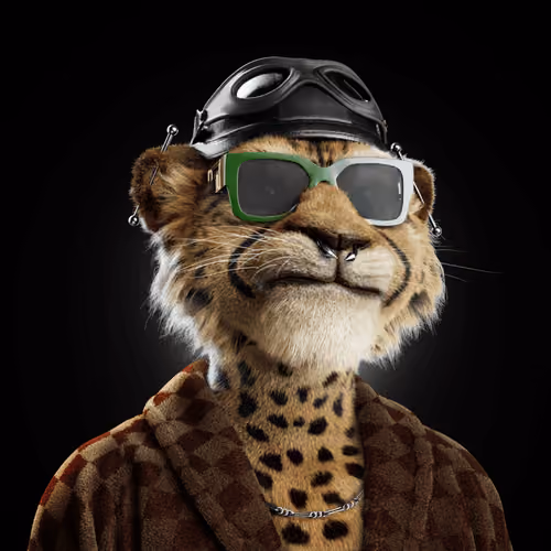 Big Cat #3377