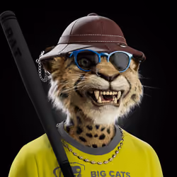 Big Cat #3458