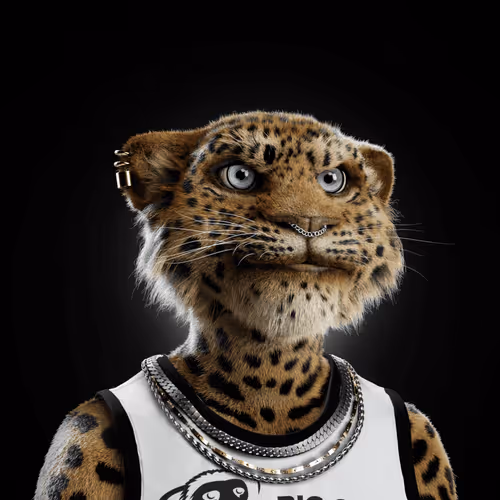 Big Cat #5181