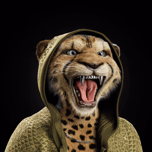 Big Cat #2572