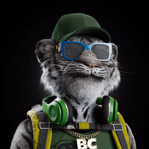 Big Cat #2885