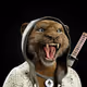 1567