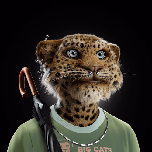 Big Cats Official Collection