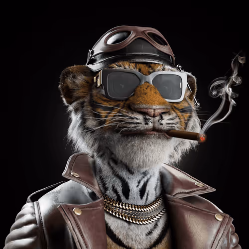 Big Cat #3695