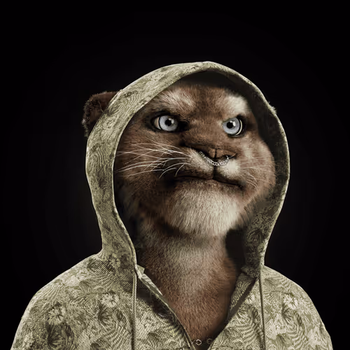 Big Cat #1814