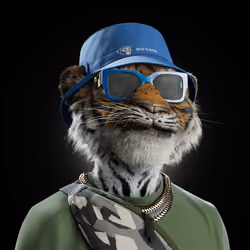 Big Cat #2568
