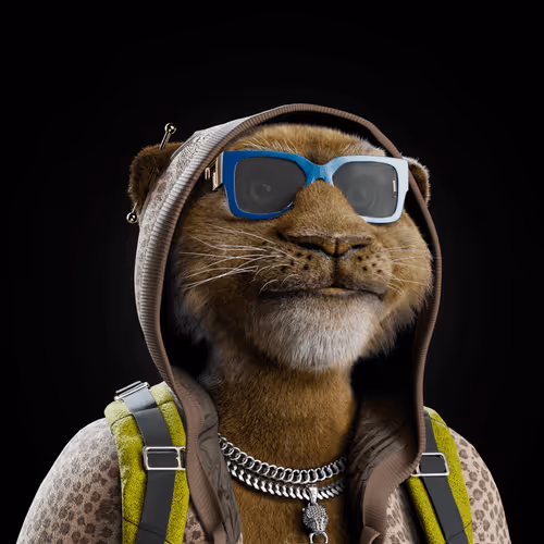 Big Cats Official Collection