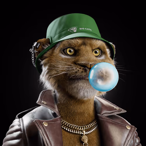 Big Cats Official Collection