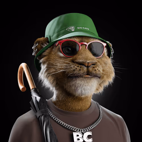 Big Cat #3128