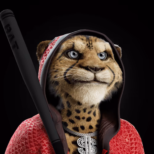 Big Cats Official Collection