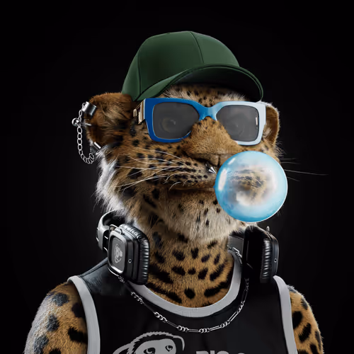 Big Cat #1668