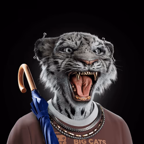 Big Cats Official Collection