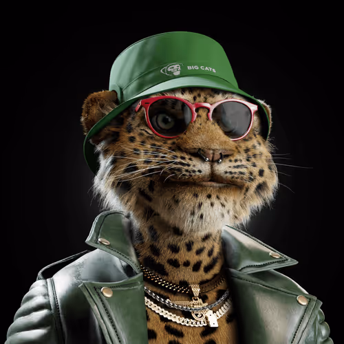 Big Cat #4883