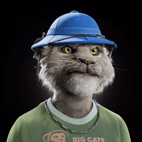 Big Cat #4213