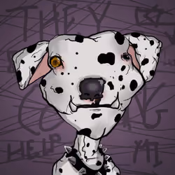 dadogtown #12
