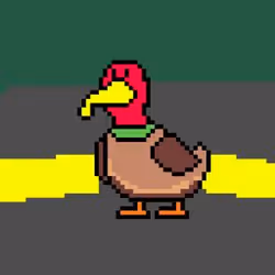 Duck #11
