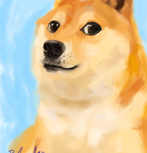 Dogma Portraits