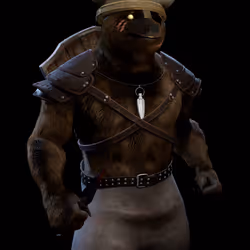 Shiba Vikings Clan #384