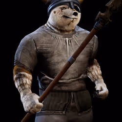 Shiba Vikings Clan #267