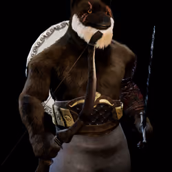 Shiba Vikings Clan #341