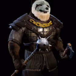 Shiba Vikings Clan #320