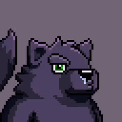 Kuma Cub#269