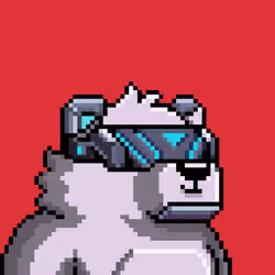 Kuma Cub#319