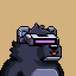 Kuma Cub#71