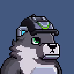 Kuma Cub#220